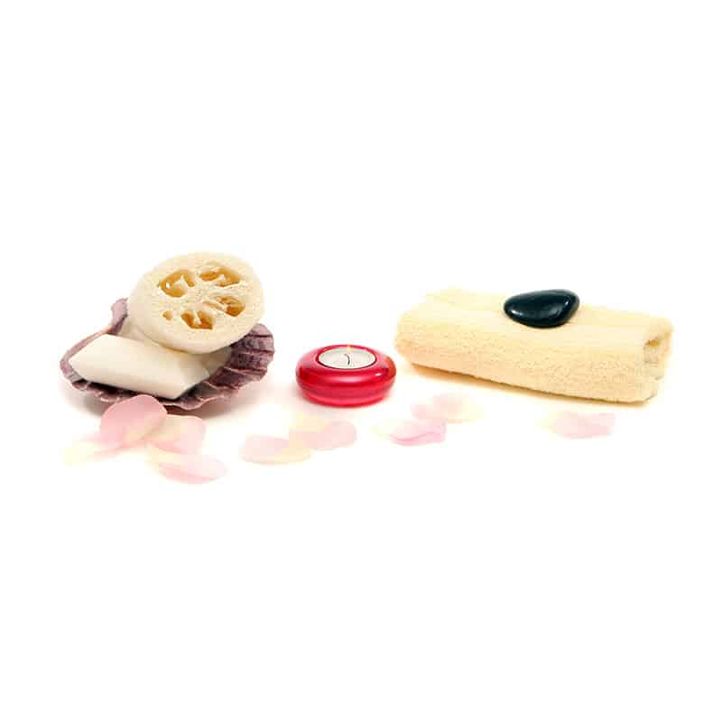 Spa exfoliator sponges